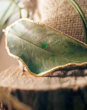 Paparajote de oro colección paparajote de oro-joyería dpiedra