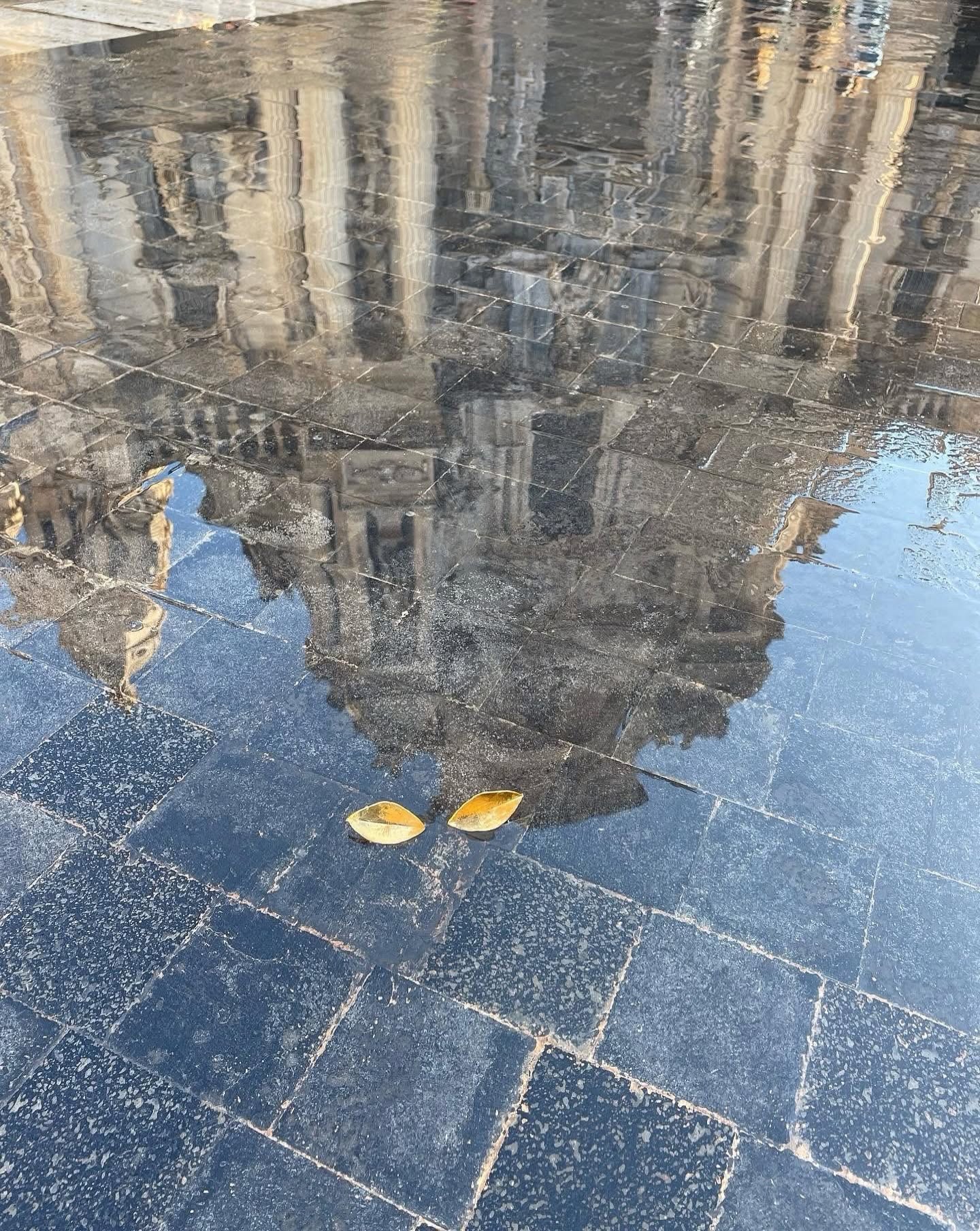 Catedral de Murcia junto a DPiedra Joyería